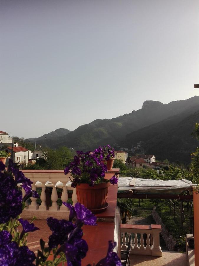 Antica Casa Cavaliere Villa Tramonti Eksteriør billede